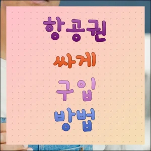 항공권 싸게 구입하는 방법 아는 사람만 득보는 알뜰 여행팁