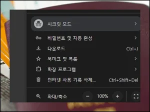 (2) 브라우저 설정의 비밀