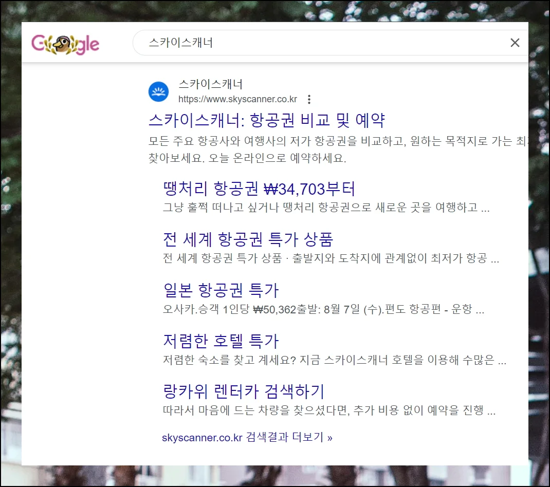 (2) 특가 항공권을 찾는 노하우