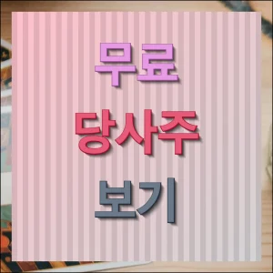 무료 당사주 운세풀이 제대로 확인