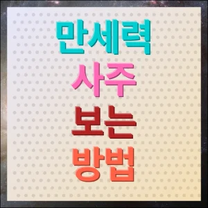 만세력 사주보는방법 미래 인생 알아보기