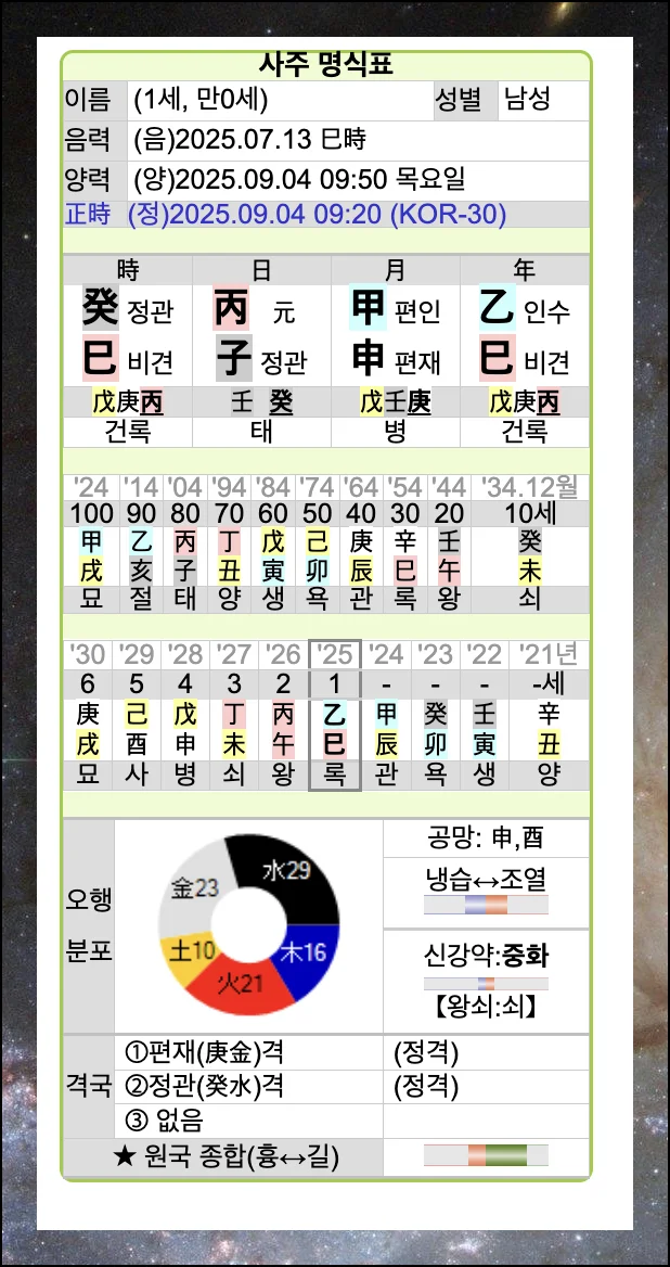 (8) 나만의 상세 분석 결과