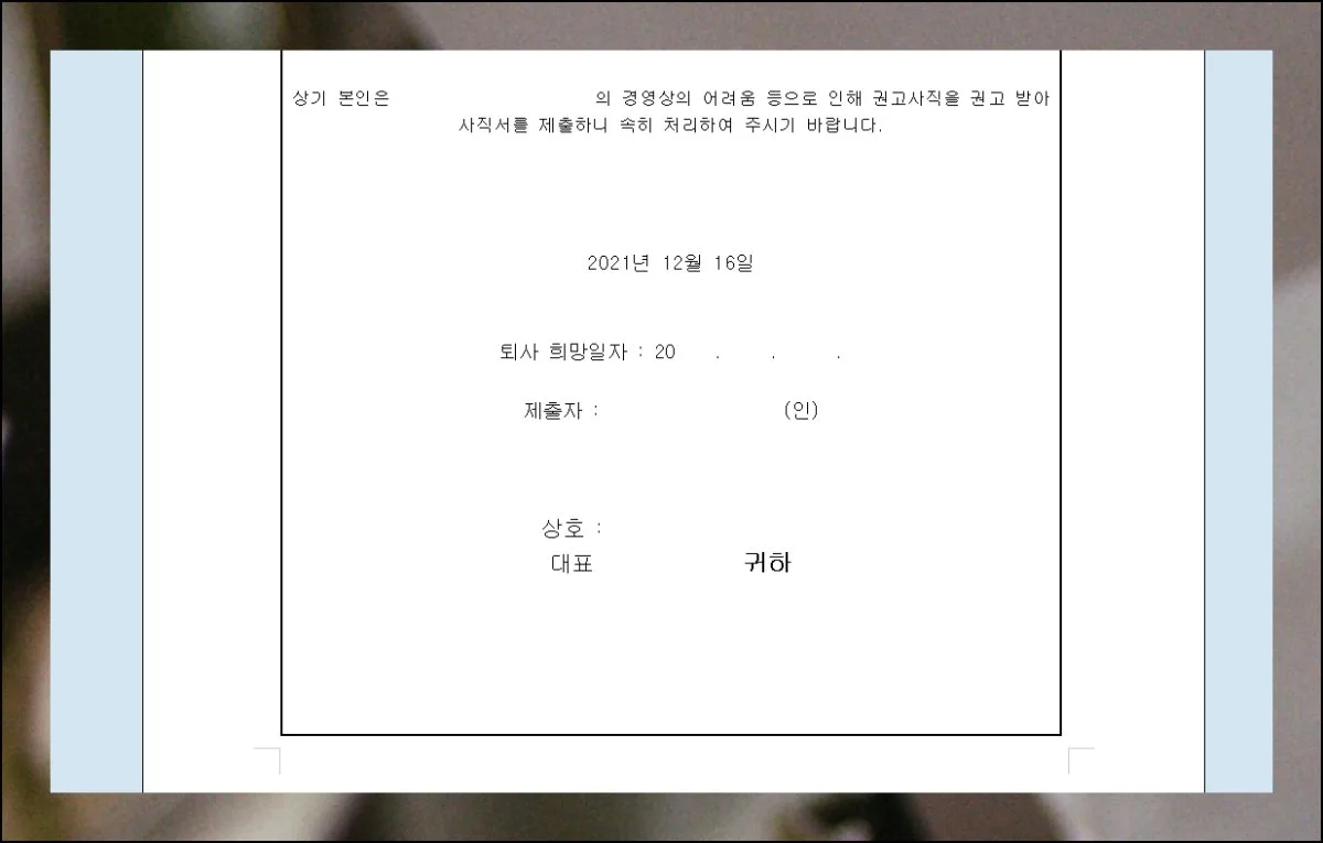 (5) 다양한 포맷의 양식 활용