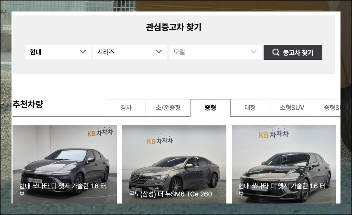 (3) 단계별 검색법