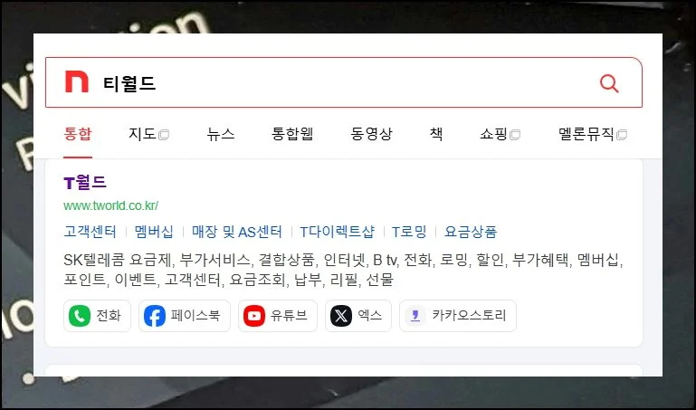 (4) 국내 음원 서비스 접근