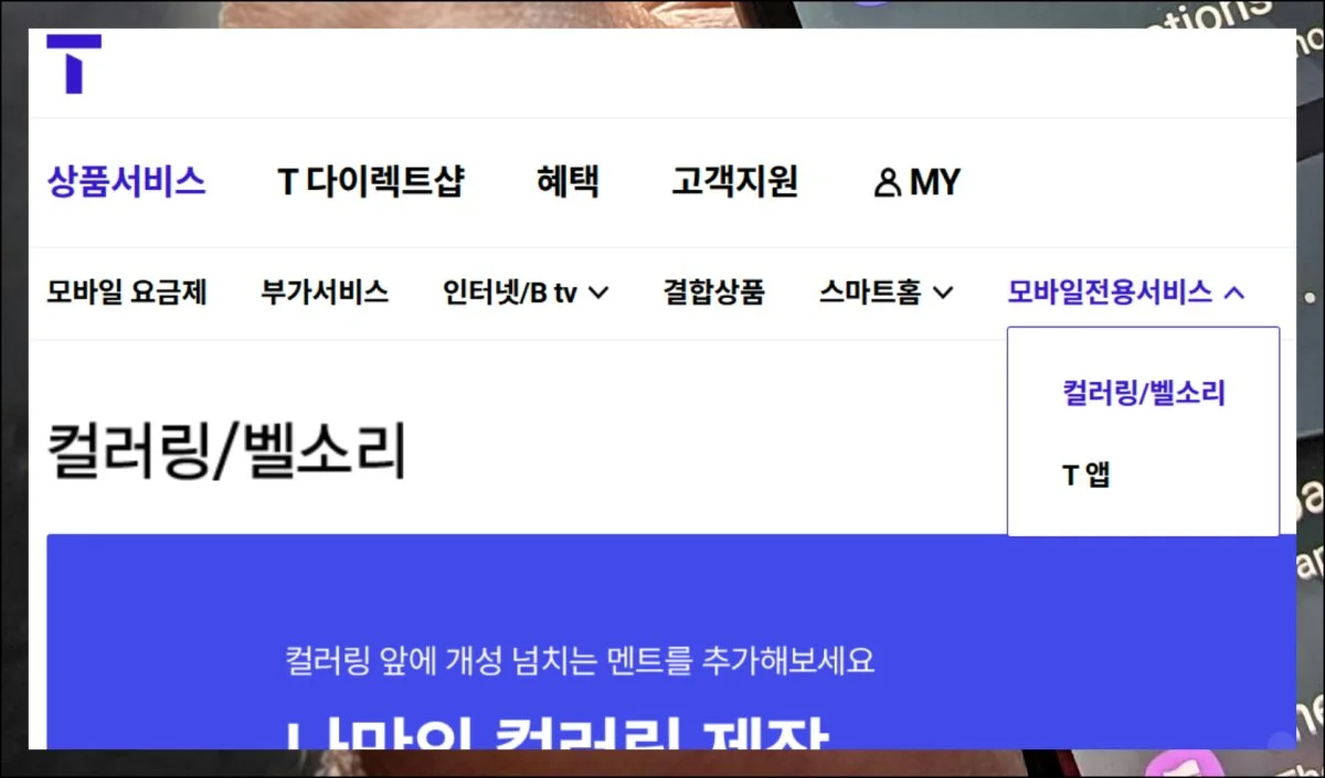 (4) 국내 음원 서비스 접근