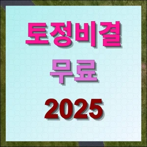 토정비결 무료 2025 정확도 높은 곳 이용하기