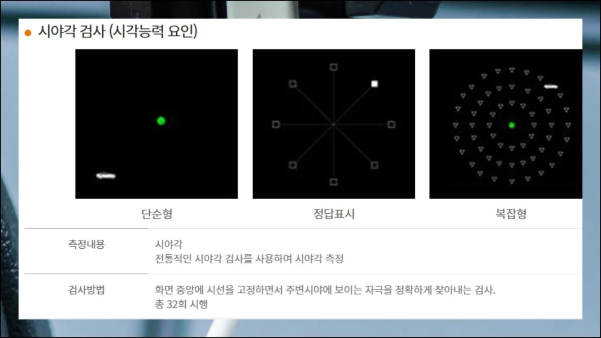 (1) 운전 능력 테스트 미리보기