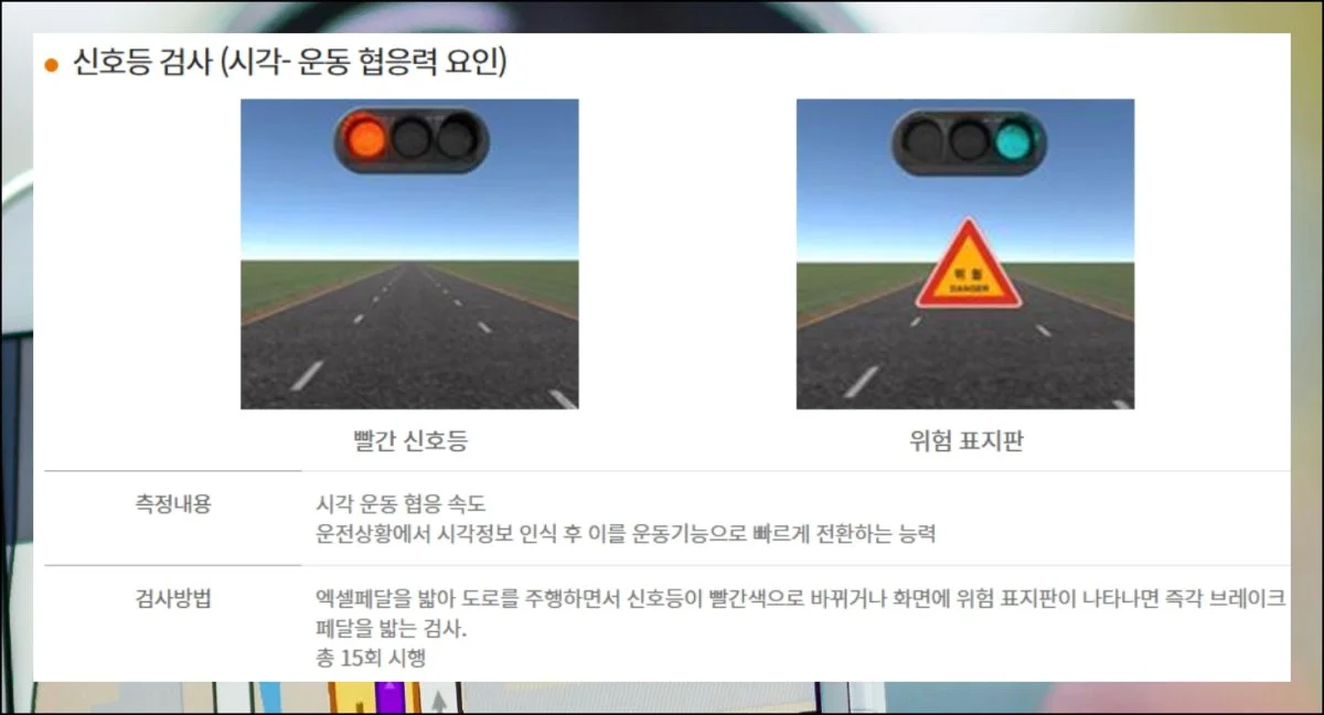 (1) 운전 능력 테스트 미리보기