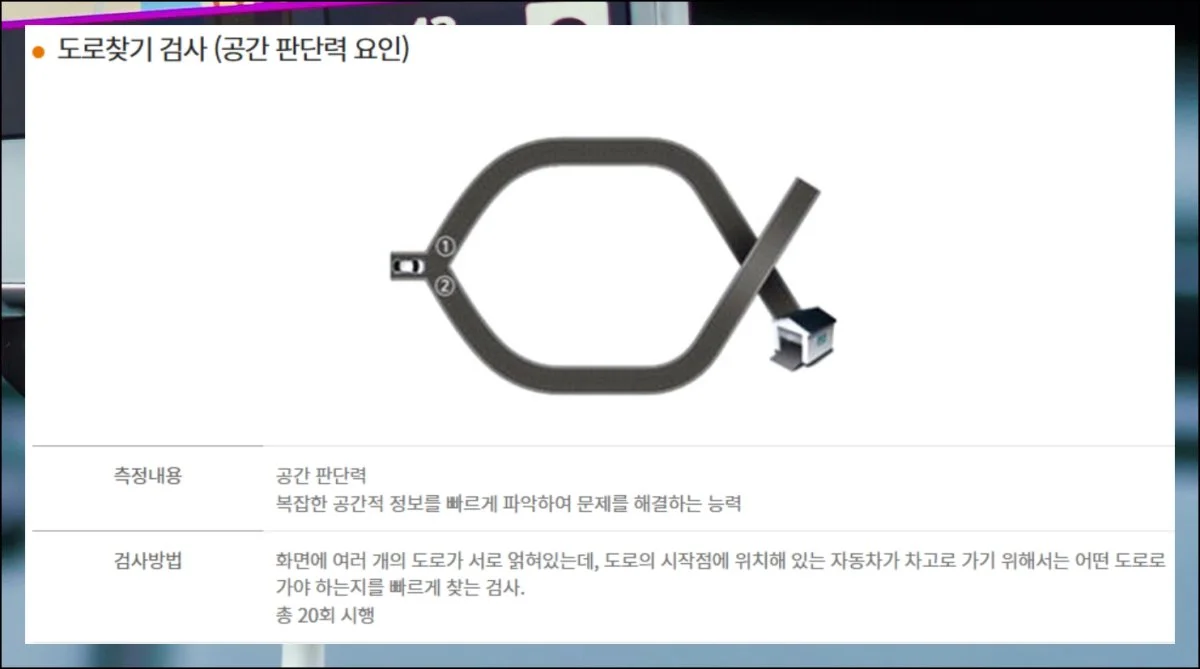 (2) 인지능력 확인 테스트