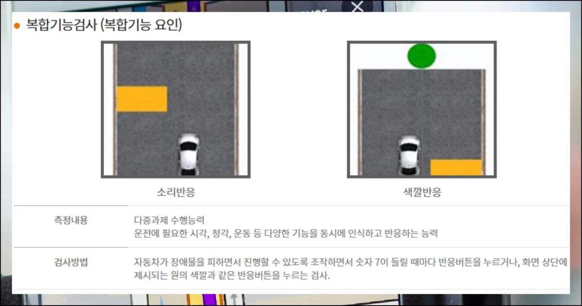 (2) 인지능력 확인 테스트