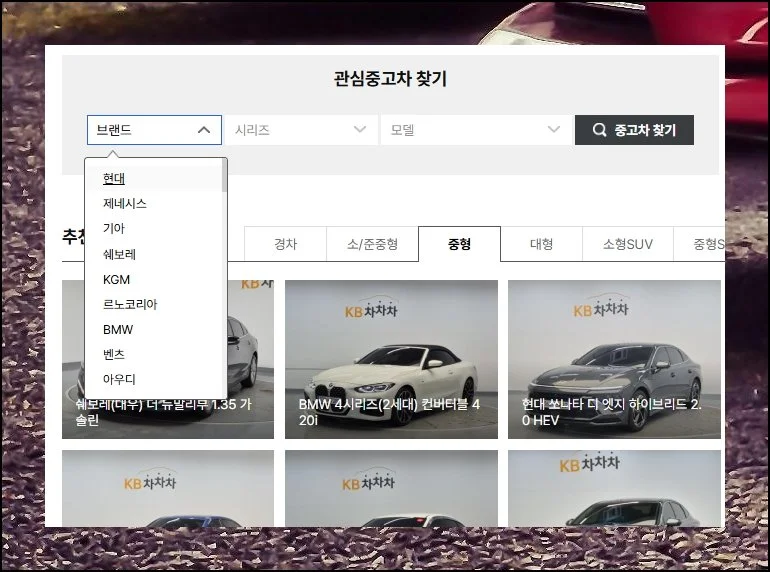 (3) 나에게 맞는 차종 고르기