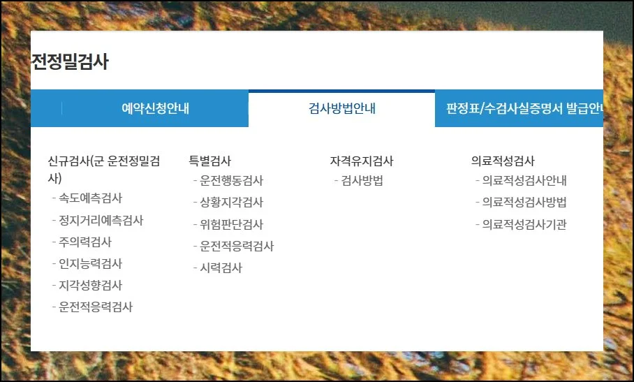 (7) 검사 항목 살펴보기