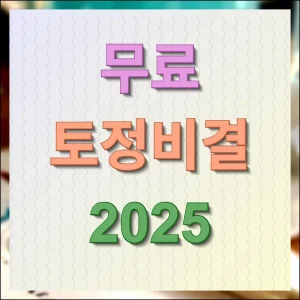 무료 토정비결 2025 정확하게 보기 좋은 곳 안내
