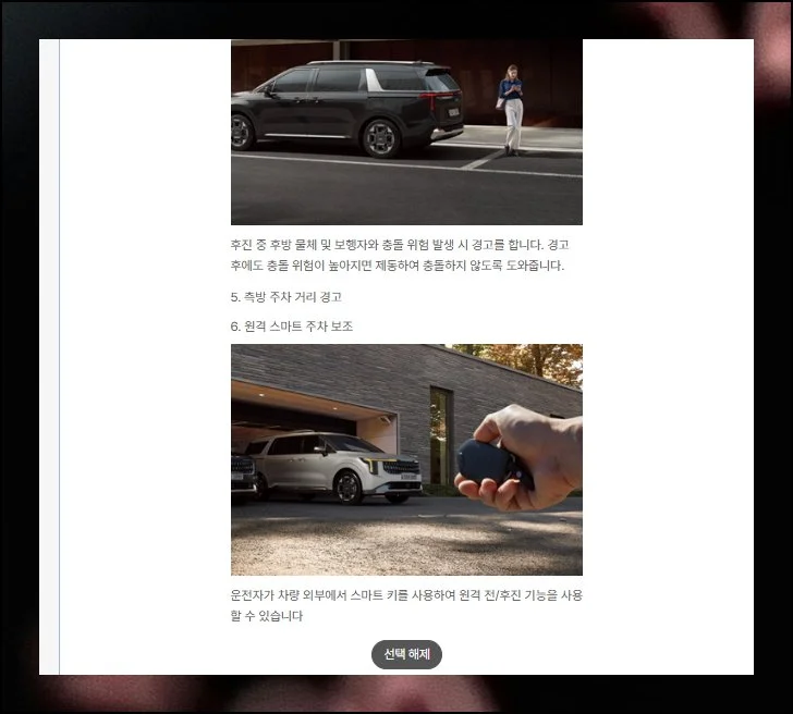 (8) 옵션 상세 설명