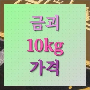 금괴 10KG 가격 시세확인